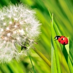 Natur pur kinzigtal natur uralub im grünen wochenendpauschalen hotels