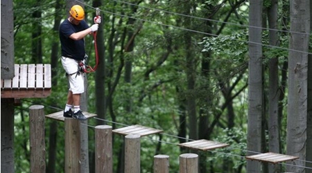 Kletterwald Steinau Kineratraktionen Gruppenangebote 